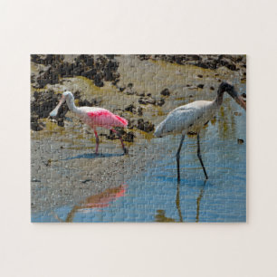 Puzzle Spatule Bec-en-Spatule Floride