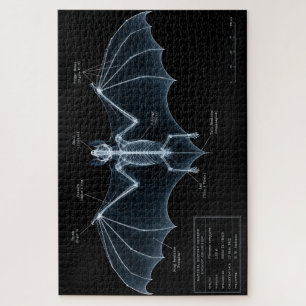Puzzle Spécimen de musée de squelette de chauve-souris au