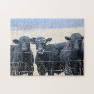 Puzzle Spectateurs bovins