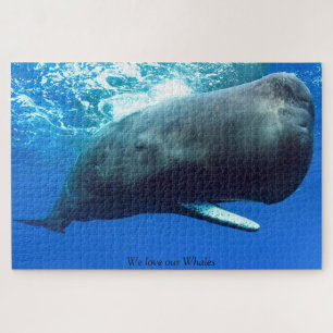 Puzzle Sperm Whale