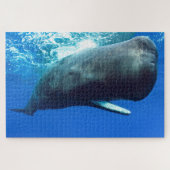 Puzzle Sperm Whale (Horizontal)