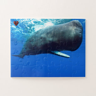 Puzzle Sperm Whale