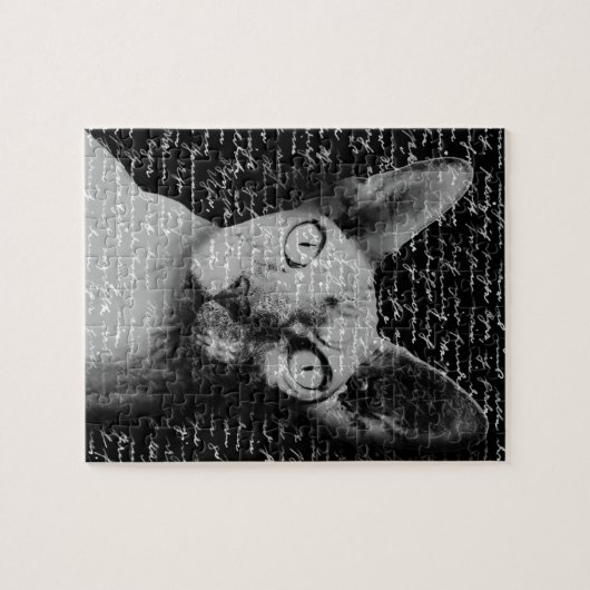 Puzzle Sphynx (Horizontal)