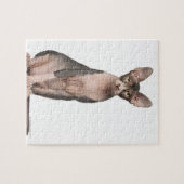 Puzzle Sphynx (7 months old) sitting (Horizontal)