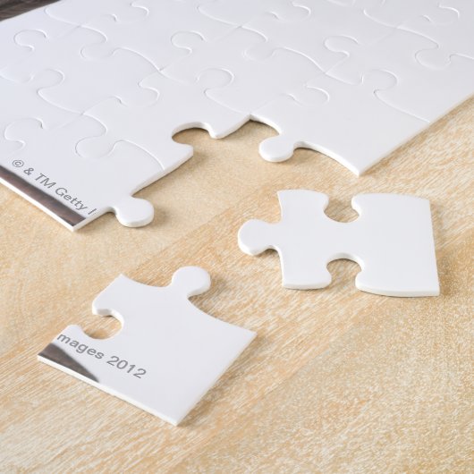 Puzzle Sphynx (7 months old) sitting (Côté)