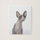 Puzzle Sphynx Cat with surprised expression (Vertical)