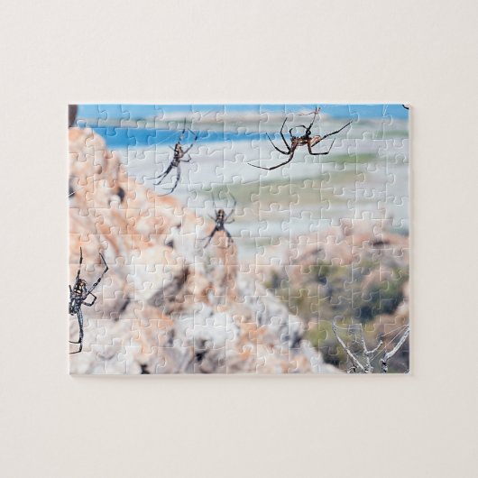 Puzzle Spider City - Ça traîne (Horizontal)