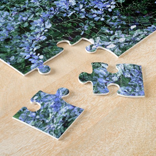 Puzzle Spider Haven... (Côté)