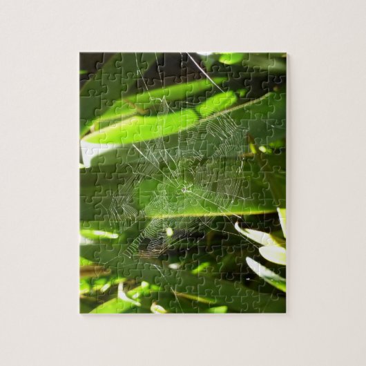 Puzzle Spiderweb dans Tropical Leaves Nature (Vertical)