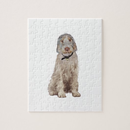 Puzzle Spinone Italien (A) - Blé (Vertical)