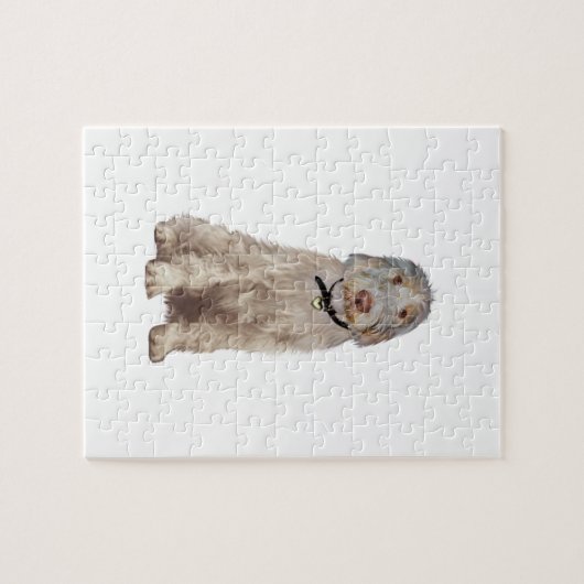 Puzzle Spinone Italienne (A) - Roue (Horizontal)