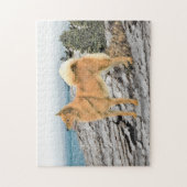 Puzzle Spitz finlandais à Seashore Peinture - Chien Art (Vertical)