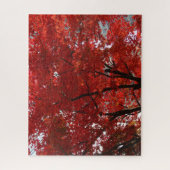 Puzzle Splendeur d'automne des Feuilles de l'arbre rouge (Vertical)