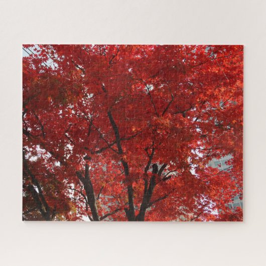Puzzle Splendeur d'automne des Feuilles de l'arbre rouge (Horizontal)
