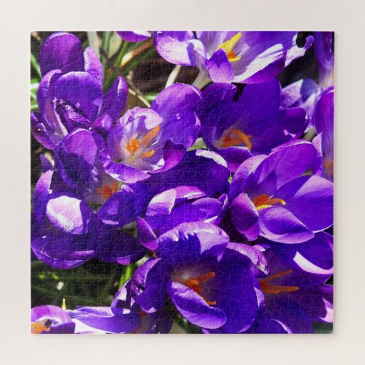 PUZZLE SPRING CROCUS (Horizontal)