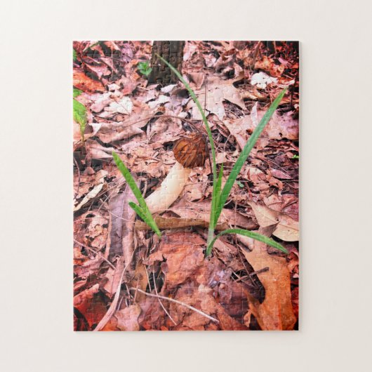 Puzzle Spring Morel (Vertical)