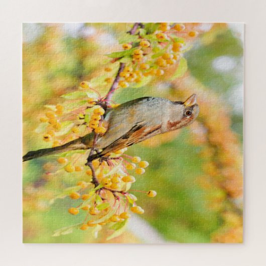 Puzzle Spring time Sparrow (Horizontal)