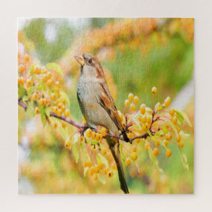 Puzzle Spring time Sparrow