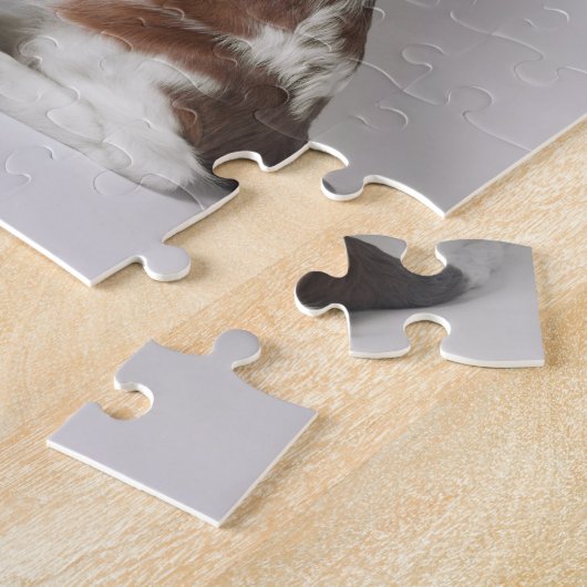 Puzzle Springer spaniel (Côté)