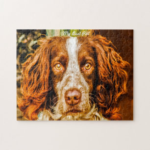 Puzzle Springer Spaniel Dog Jigsaws.