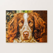 Puzzle Springer Spaniel Dog Jigsaws. (Horizontal)