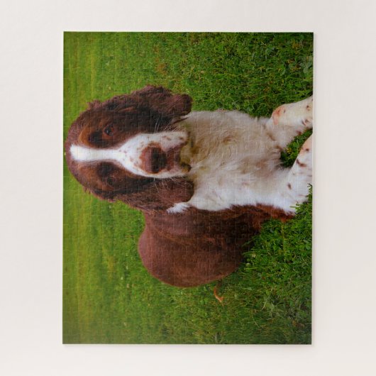 Puzzle Springer Spaniel Dog Jigsaws. (Vertical)