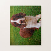 Puzzle Springer Spaniel Dog Jigsaws. (Vertical)