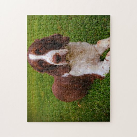 Puzzle Springer Spaniel Dog Jigsaws. (Vertical)