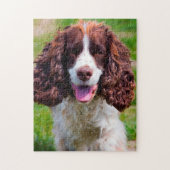 Puzzle Springer Spaniel Dog Jigsaws. (Vertical)