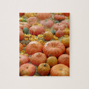 Puzzle Squash Galore