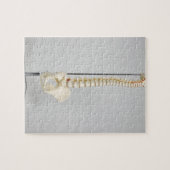 Puzzle Squelette chiropratique (Horizontal)