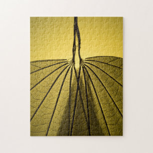 Puzzle Squelette de feuille
