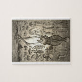 Puzzle Squelette humain Ca 1741 (Horizontal)