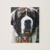 Puzzle St Bernard (Vertical)