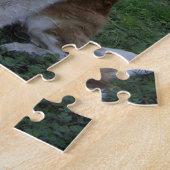Puzzle St Bernard reposant 2 (Côté)