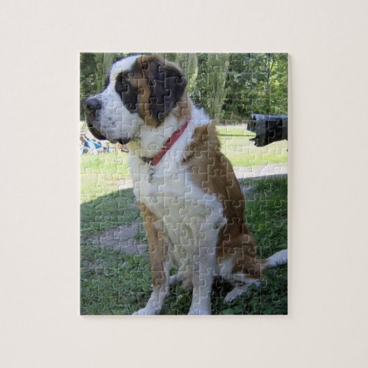 Puzzle St Bernard reposant 2 (Vertical)