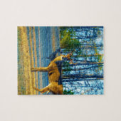 Puzzle Stade / Buck Deer, Ciel bleu clair (Horizontal)