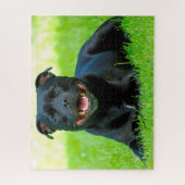 Puzzle Staffordshire Bull Terrier Chien. (Vertical)