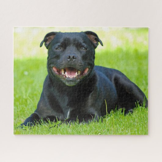 Puzzle Staffordshire Bull Terrier Chien. (Horizontal)