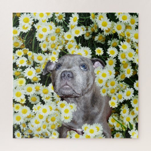 Puzzle Staffordshire Bull Terrier Puppy Dans Les Fosses, (Vertical)