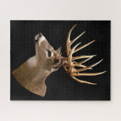Puzzle Stag Buck Deer (Horizontal)