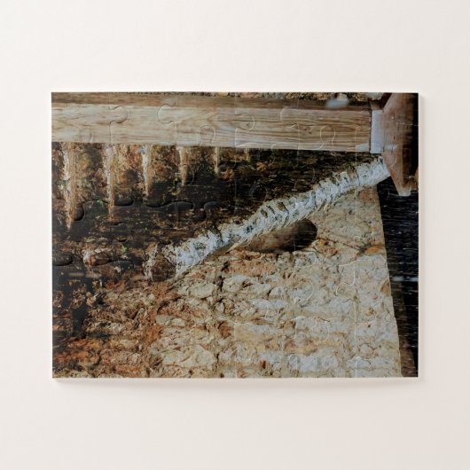 Puzzle Stairway Worn by Time and Precision (Horizontal)