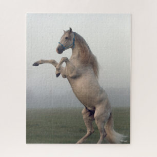 Puzzle Staline Lusitano Gris S'Élevant En Mist