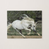 Puzzle Stallion andalou courant, PR (Horizontal)