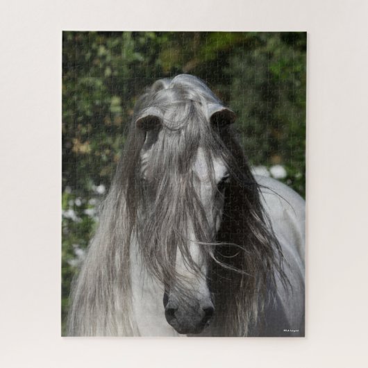Puzzle Stallion Andalou Gris Capture d'écran Long Mane (Vertical)