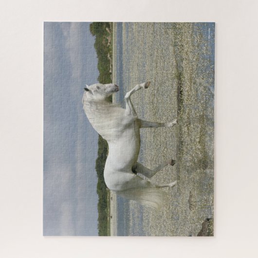 Puzzle Stallion Andalou Gris Se Trouvant Dans Le Lac (Vertical)