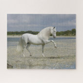 Puzzle Stallion Andalou Gris Se Trouvant Dans Le Lac (Horizontal)