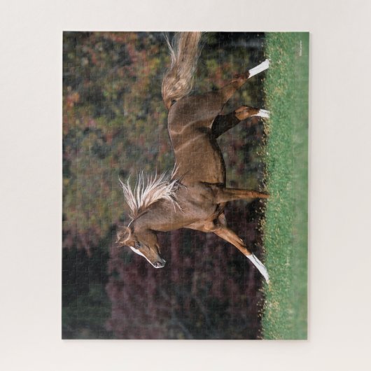 Puzzle Stallion Arabe Courant Fluant Mane Et Queue (Vertical)