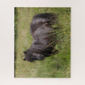Puzzle Stallion Shetland Noir debout Dans L'Herbe (Vertical)