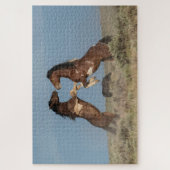 Puzzle Stallions de Cheval Sauvage combattant (Vertical)